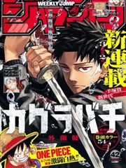 王者之路 韩国漫画免费看